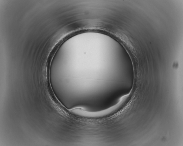 X0000096990934200802291205