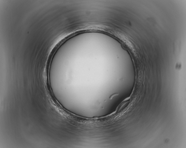 X0000096990936200802291206