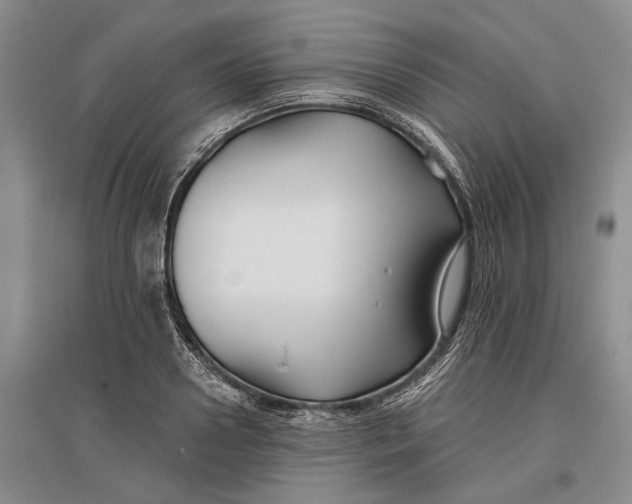 X0000096990938200802291206