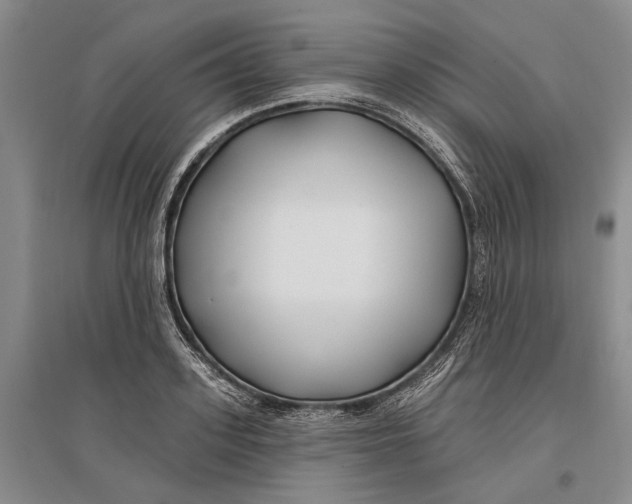 X0000096990939200802291206