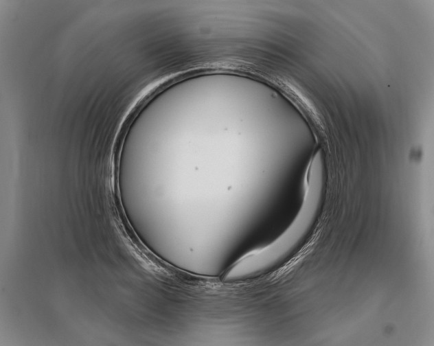 X0000096990940200802291206