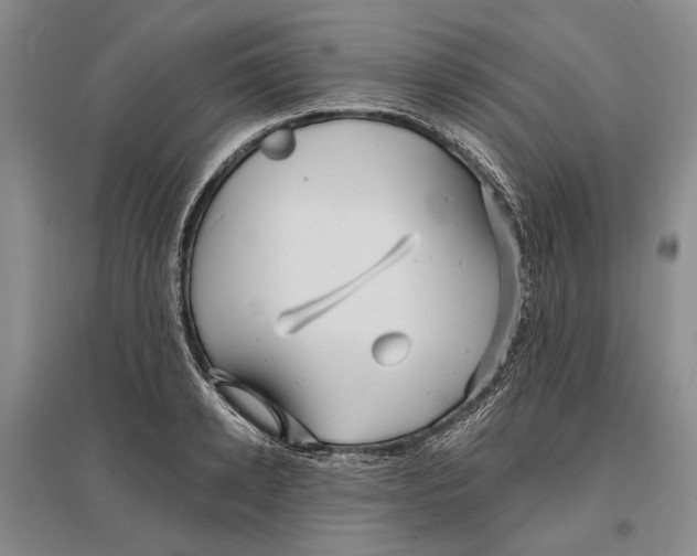 X0000096990942200802291206