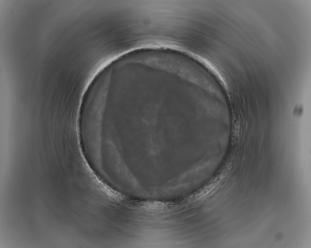 X0000096990943200802291206