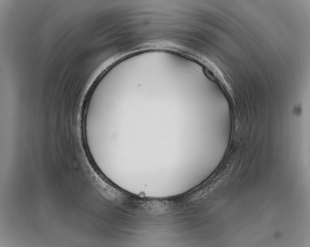 X0000096990947200802291206