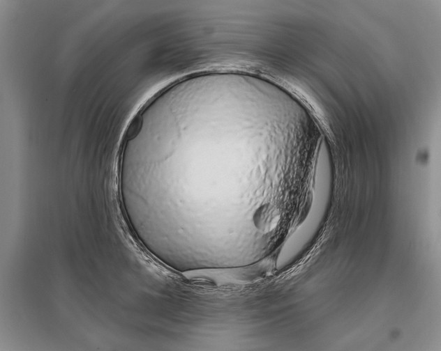 X0000096990948200802291206