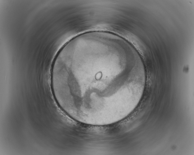 X0000096990950200802291206