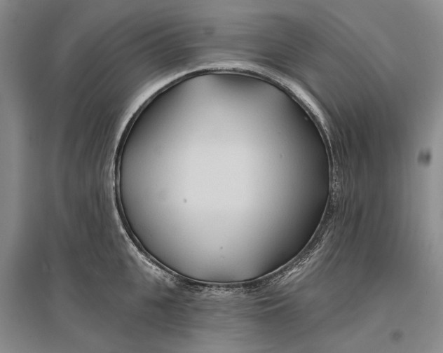 X0000096990951200802291206