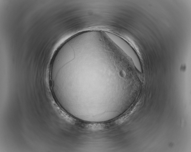 X0000096990952200802291206