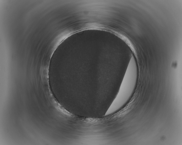 X0000096990954200802291206