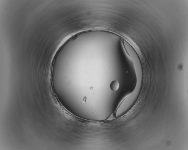 X0000096990956200802291206