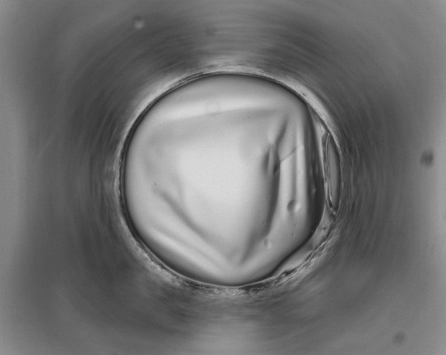 X0000096990957200802291206