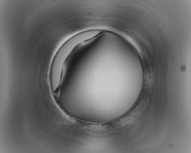 X0000096990959200802291206