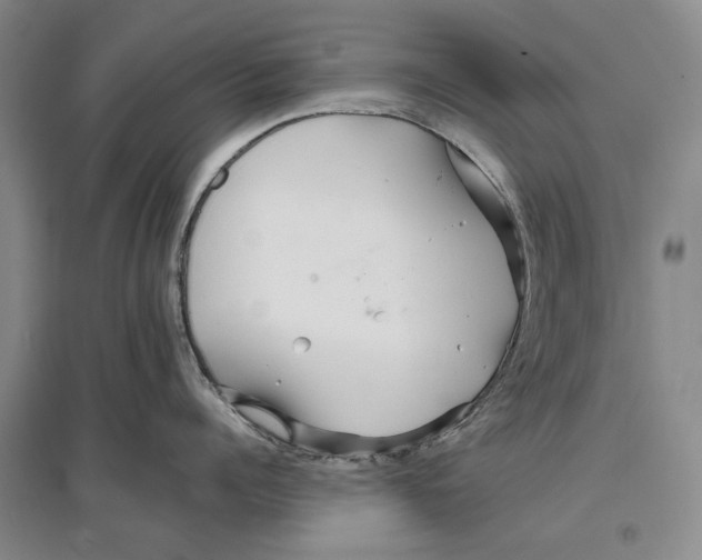 X0000096990960200802291206