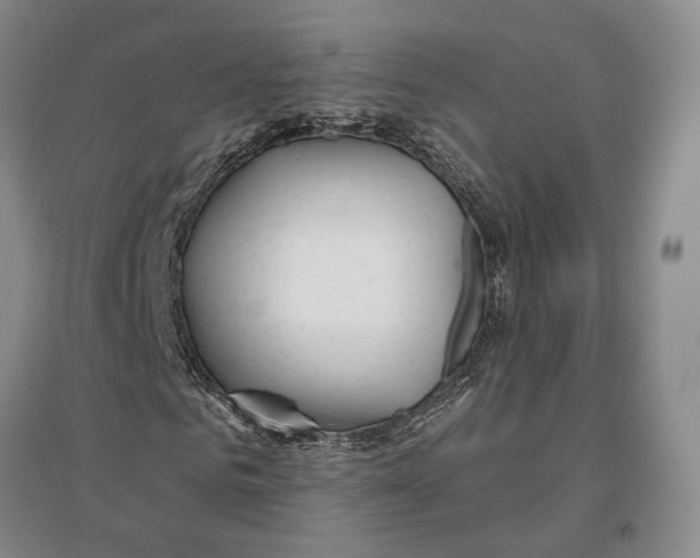 X0000096990961200802291205