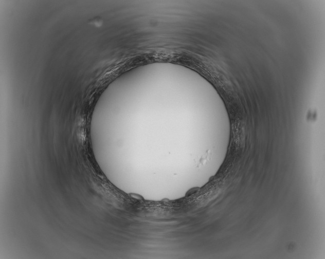 X0000096990962200802291205