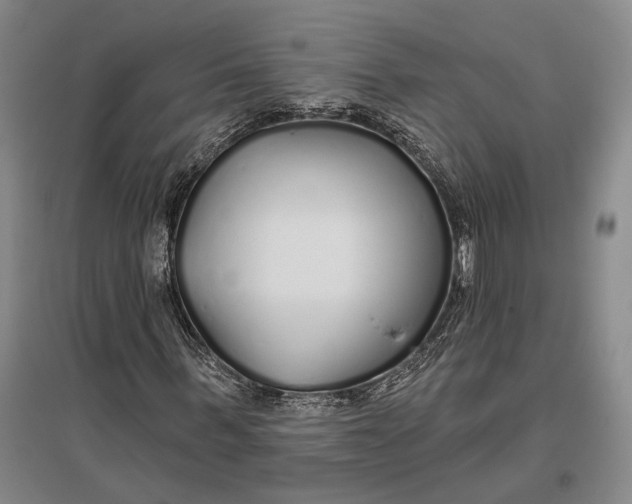 X0000096990963200802291205