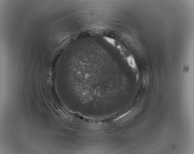 X0000096990964200802291205