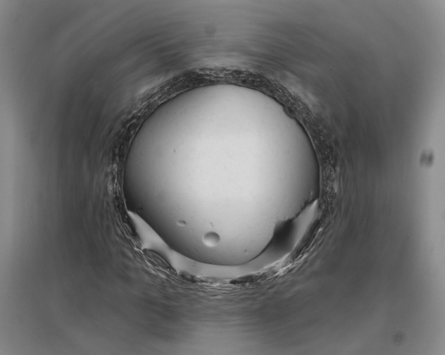 X0000096990965200802291205