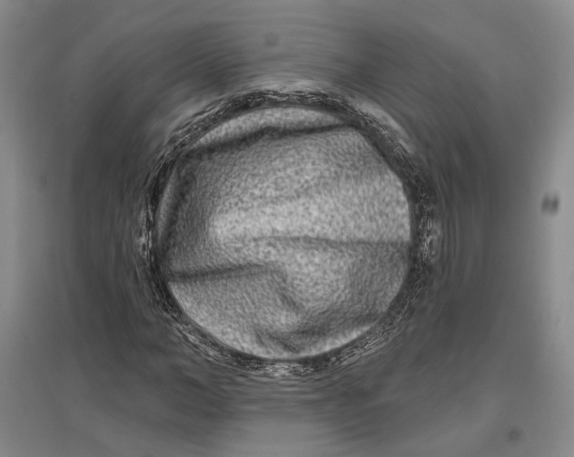 X0000096990966200802291205