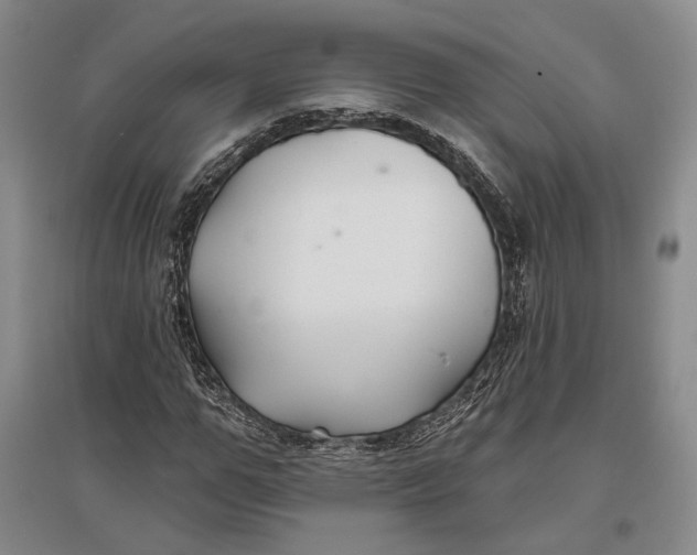 X0000096990967200802291205