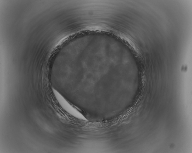 X0000096990968200802291205