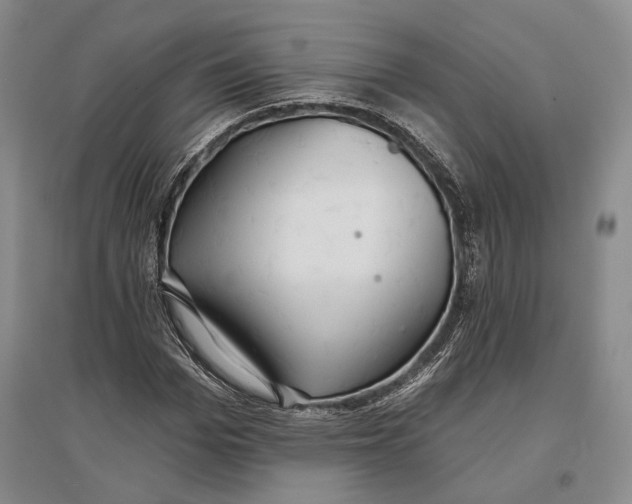 X0000096990969200802291205