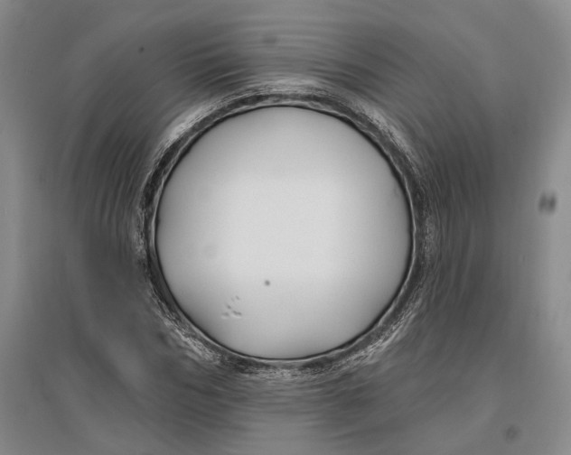 X0000096990970200802291205