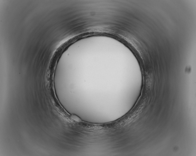 X0000096990971200802291205