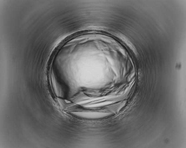 X0000096990972200802291205