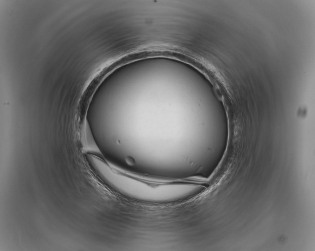 X0000096990973200802291205