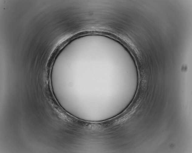 X0000096990974200802291205