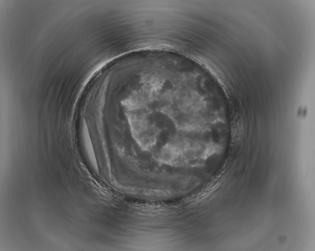 X0000096990975200802291205