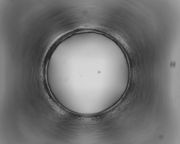 X0000096990976200802291205