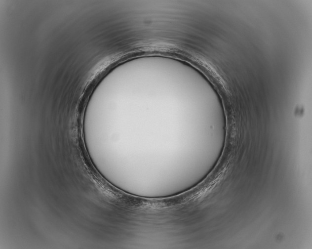 X0000096990978200802291205