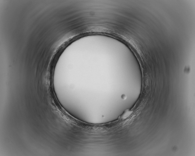 X0000096990979200802291205