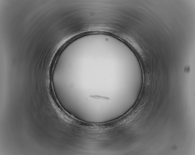 X0000096990980200802291205