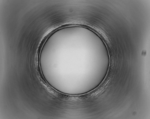 X0000096990982200802291205