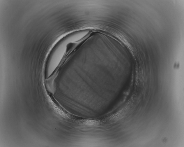 X0000096990984200802291205