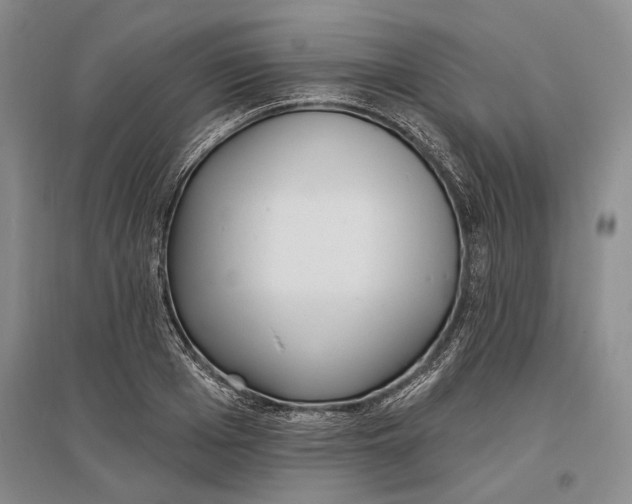 X0000096990985200802291205