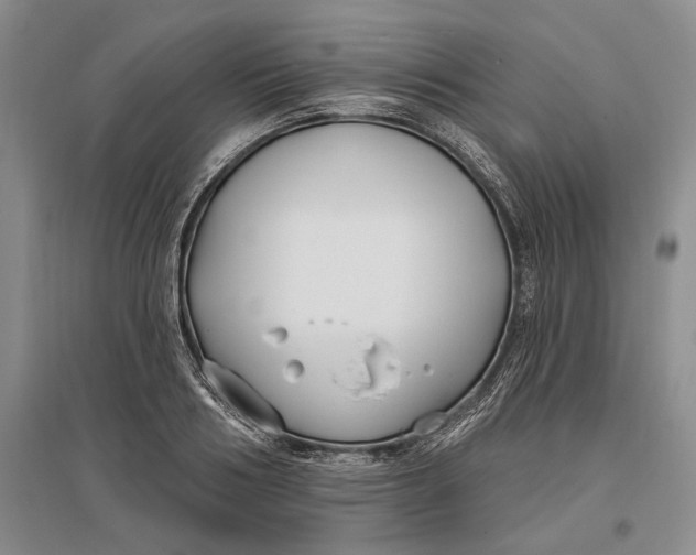 X0000096990986200802291205