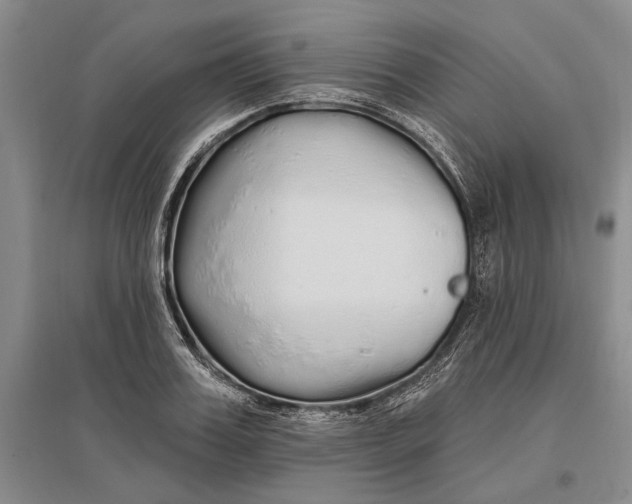 X0000096990987200802291205