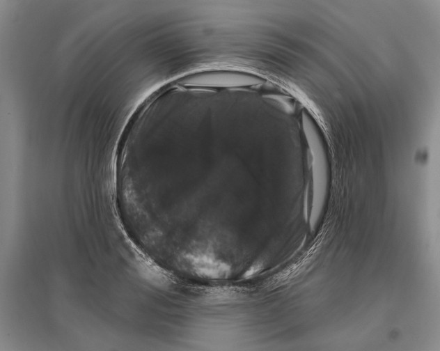 X0000096990988200802291205