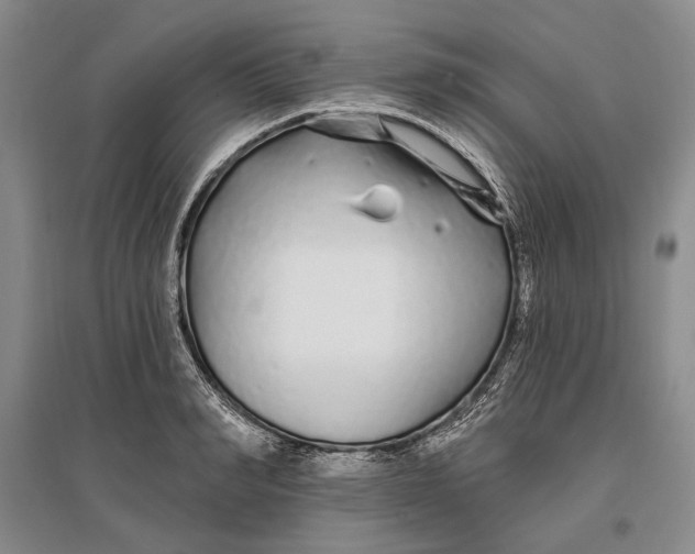 X0000096990990200802291205