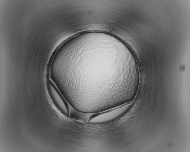 X0000096990991200802291205