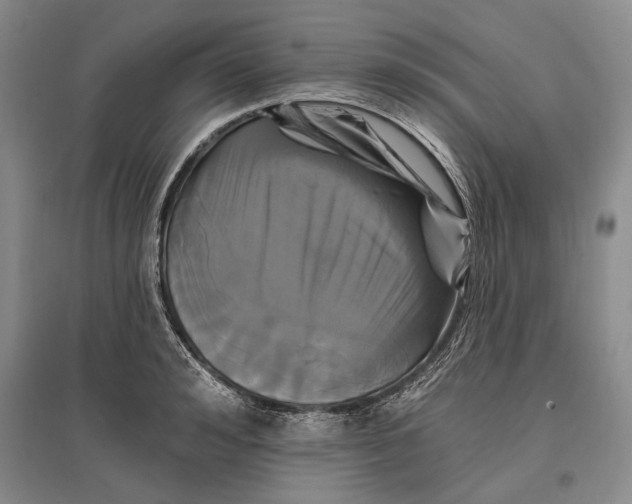 X0000096990992200802291205