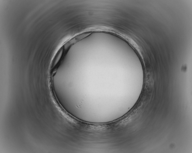 X0000096990997200802291205