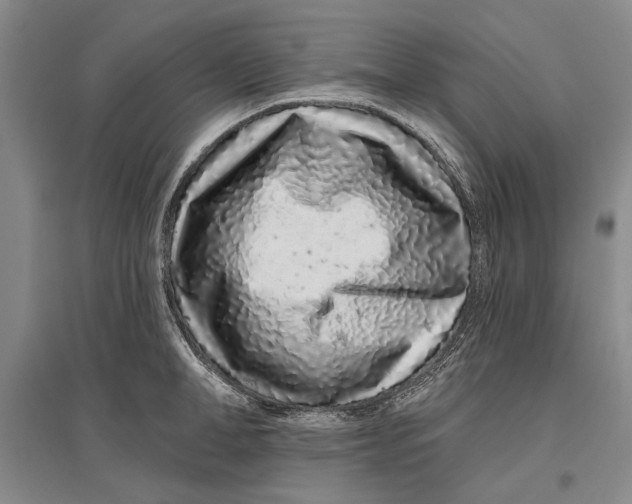 X0000096990998200802291205