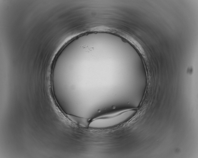 X0000096991000200802291205