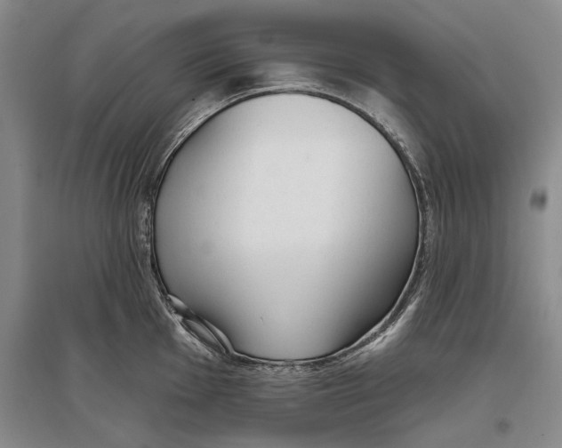 X0000096991001200802291205