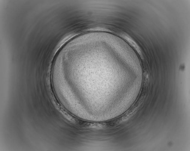 X0000096991002200802291205